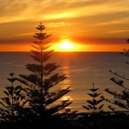 Acacia Holiday Or Business Stay - Quiet Location Perth Esterno foto